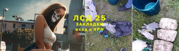 индика Алексеевка