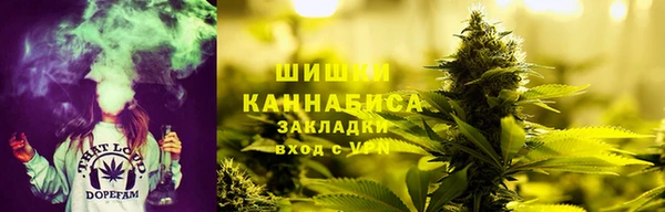 a pvp Алзамай