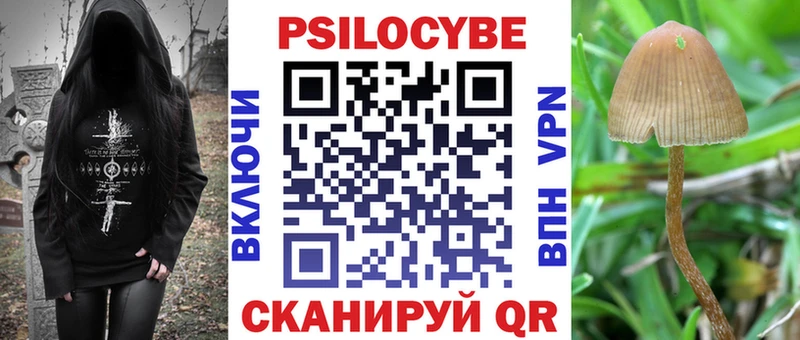 kraken ссылки  Алексеевка  Псилоцибиновые грибы Cubensis  где продают  